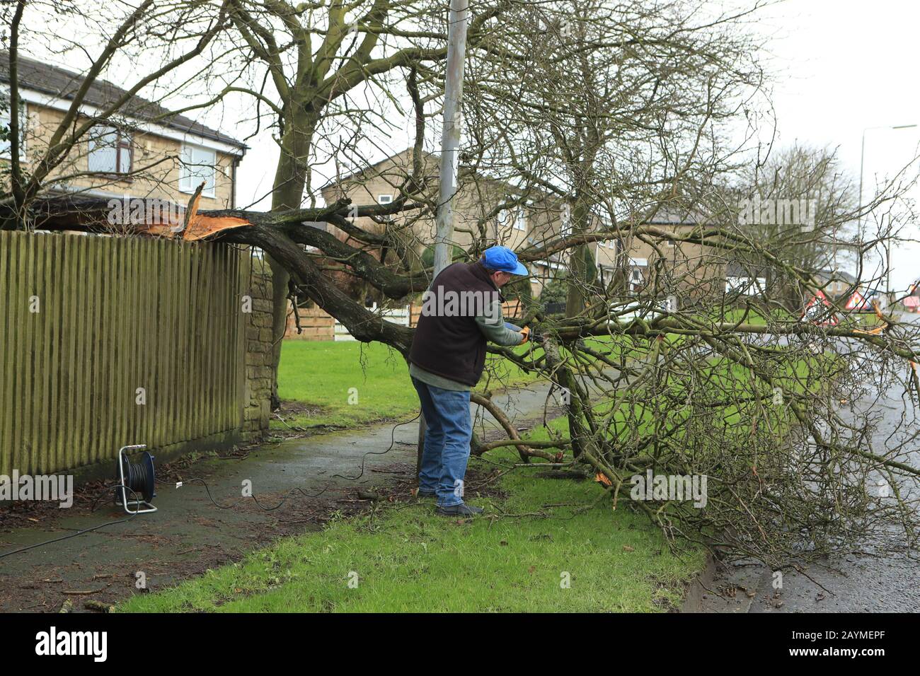 Un uomo lavora per rimuovere un albero soffiato da Storm Dennis a Birkenshaw alla periferia di Bradford, Leeds. Foto Stock