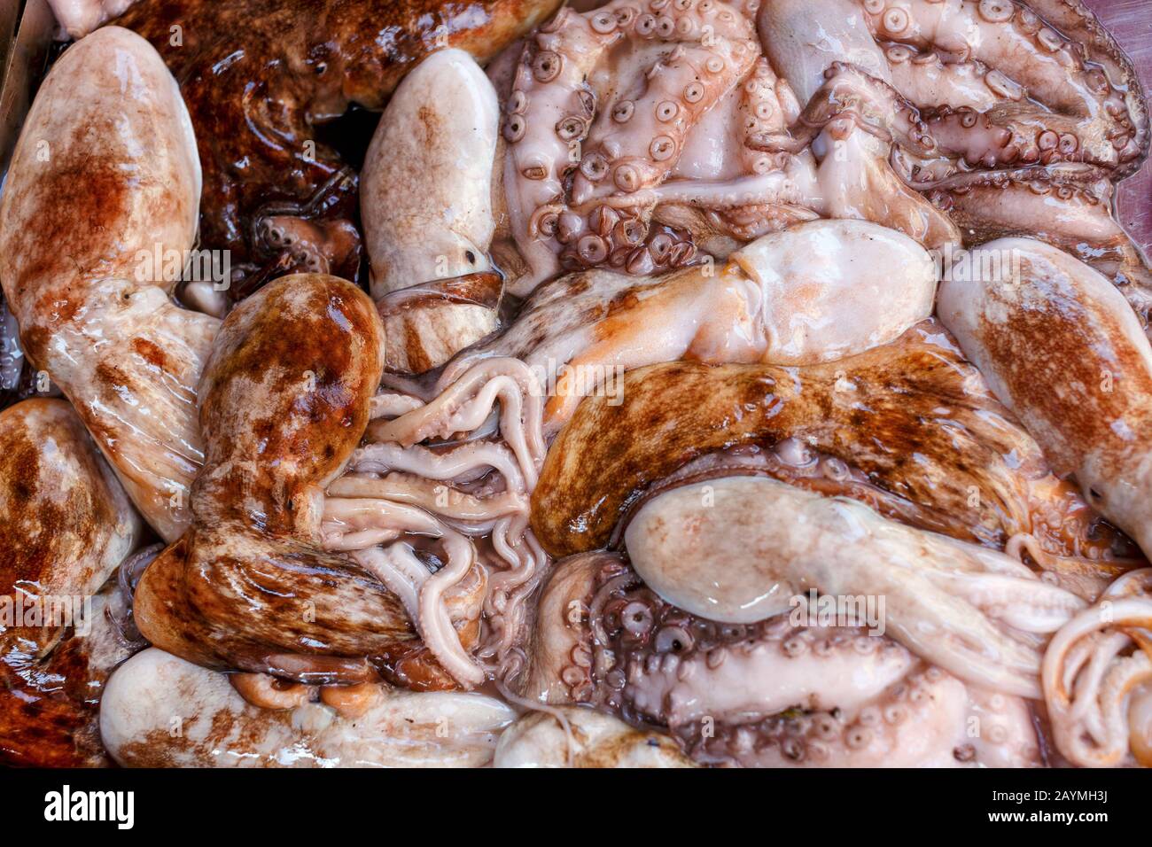 Ottusi e calamari sul mercato del pesce. Frutti di mare freschi. Foto Stock