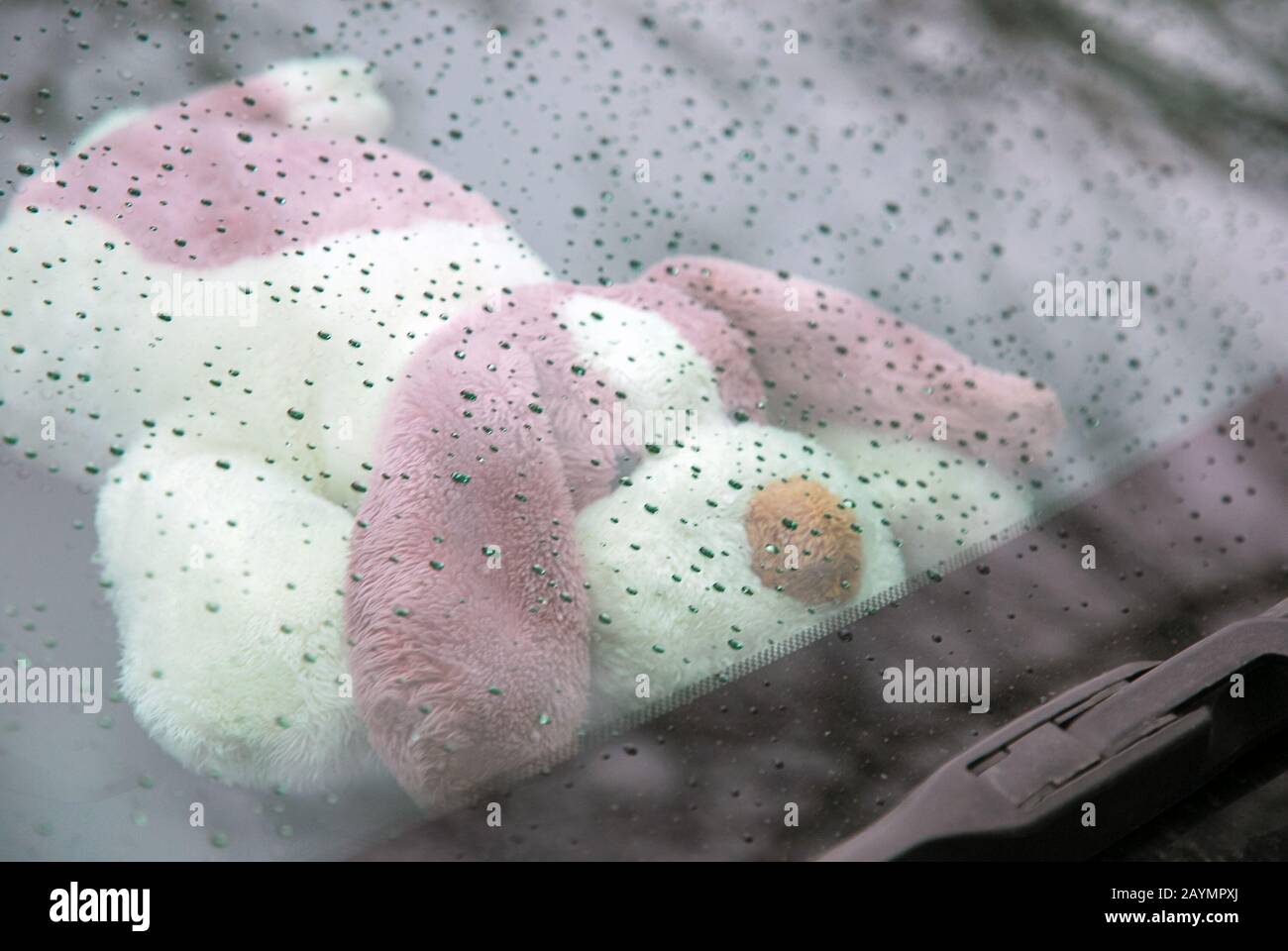 Triste cane solitario sotto il parabrezza dell'automobile il giorno piovoso Foto Stock