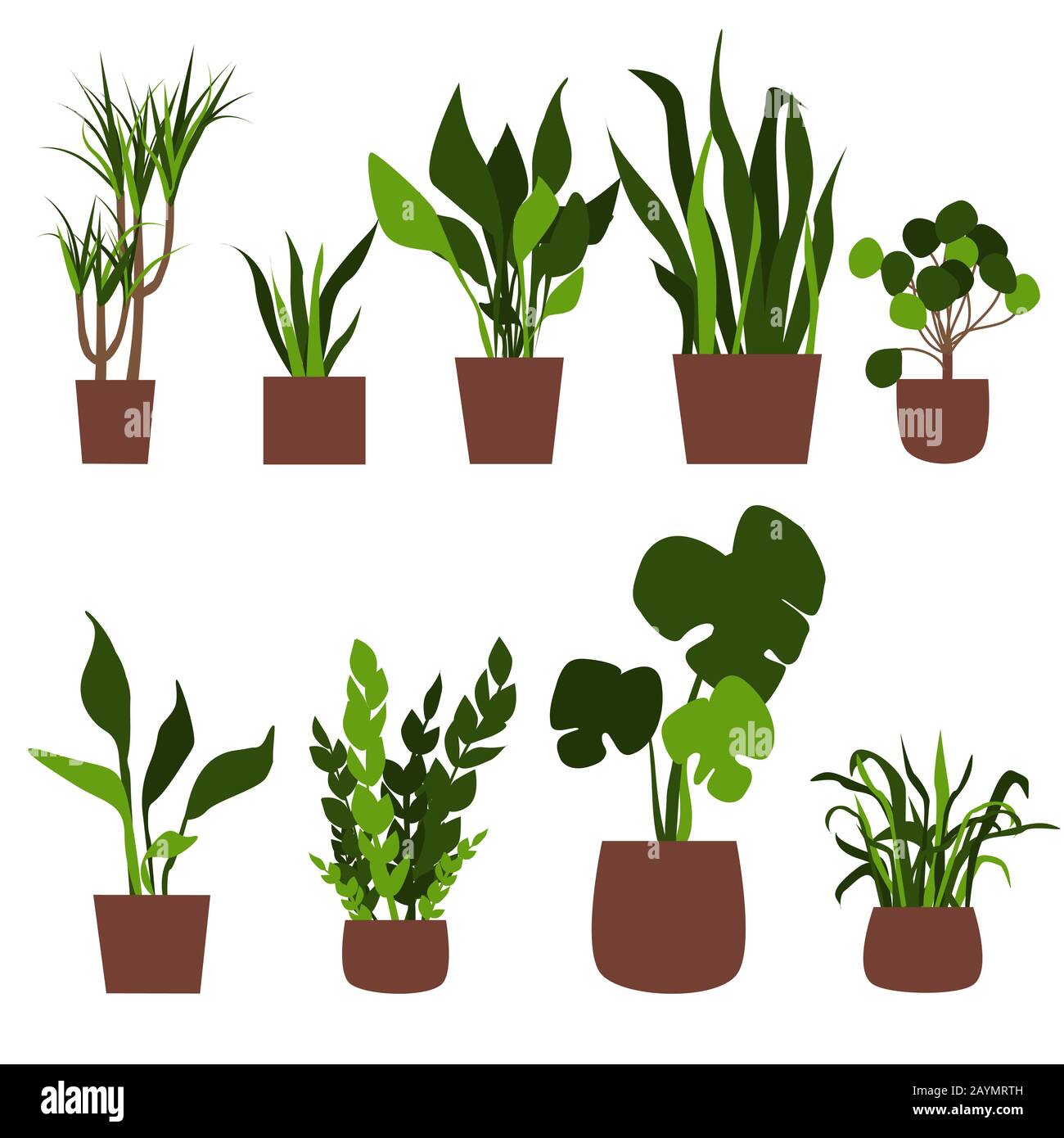 Piante verdi della casa in pentole. Illustrazione del vettore piatto Illustrazione Vettoriale