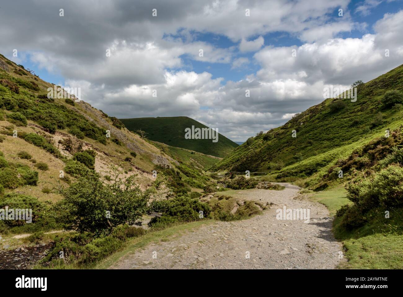 Guardando giù un percorso nella Val del Mulino del cardante sul Mynd lungo vicino a Church Stretton nelle colline di Shropshire, Inghilterra, Regno Unito Foto Stock