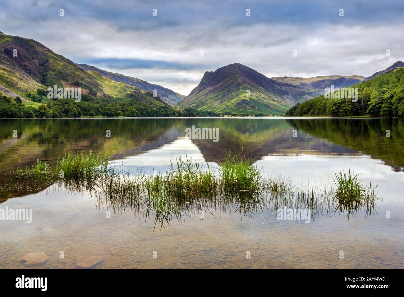 Il litorale del lago Buttermere con Fleetwith Pike e le montagne si riflettono nella distanza, Lake District National Park, Cumbria, Inghilterra, Regno Unito Foto Stock