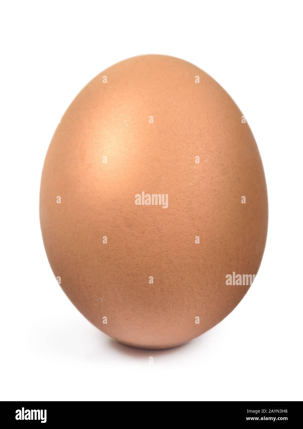 Uovo di pollo marrone singolo isolato su sfondo bianco con percorso di ritaglio. Tagliare l'oggetto. Foto Stock