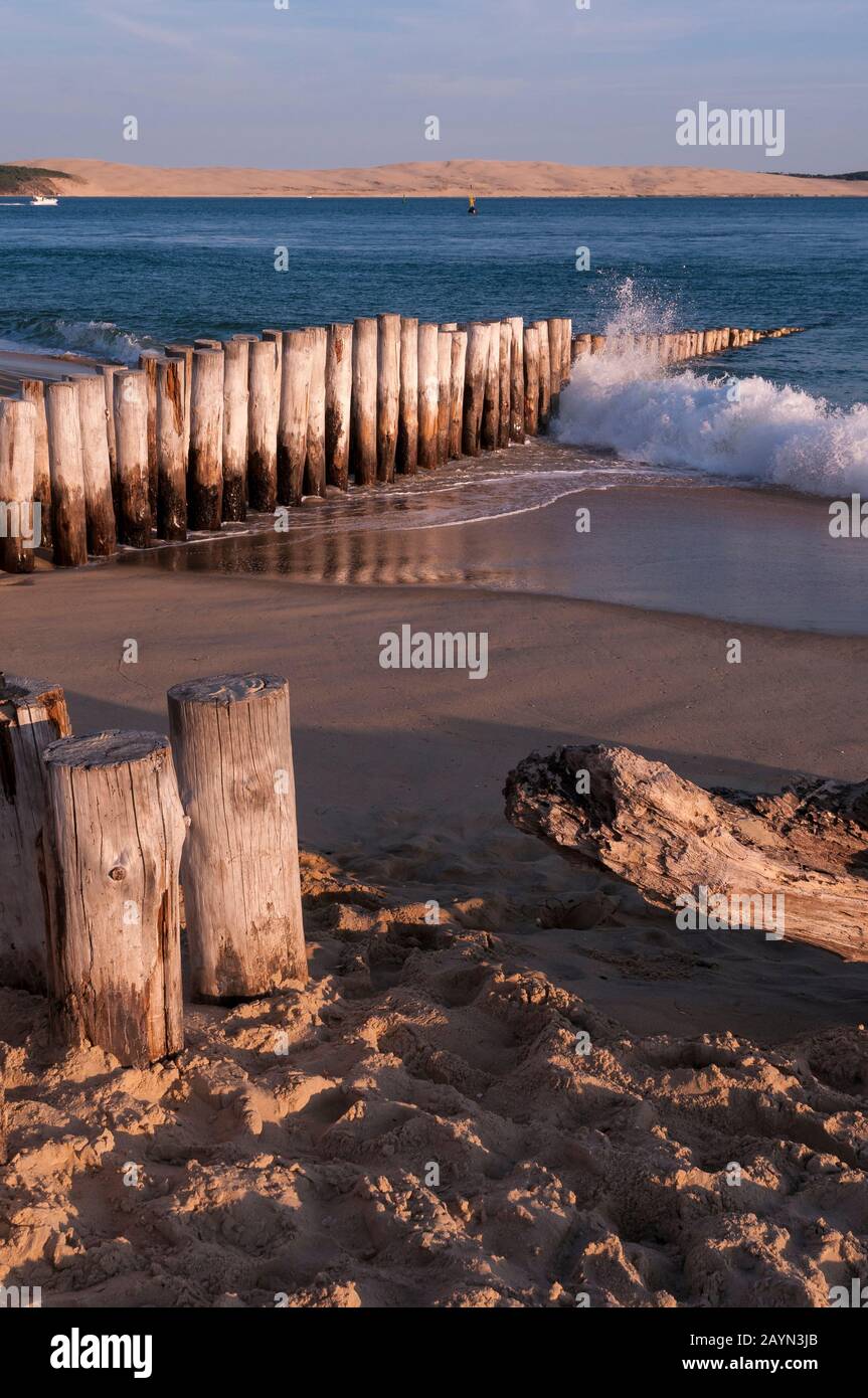 Cap Ferret Bei Arcachon, Aquitaine, Frankreich, Europa Foto Stock