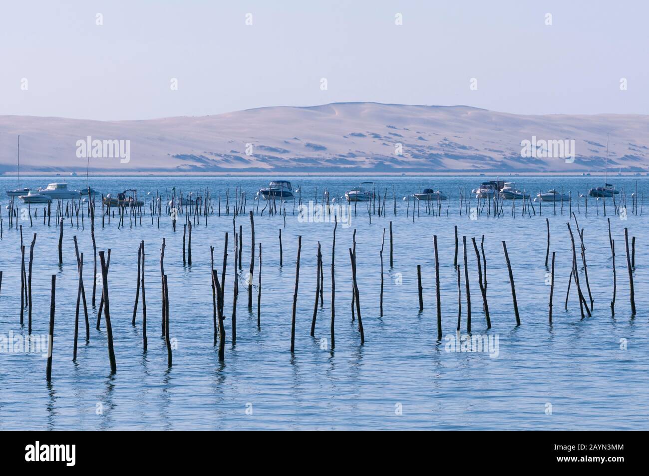 Cap Ferret Bei Arcachon, Aquitaine, Frankreich, Europa Foto Stock