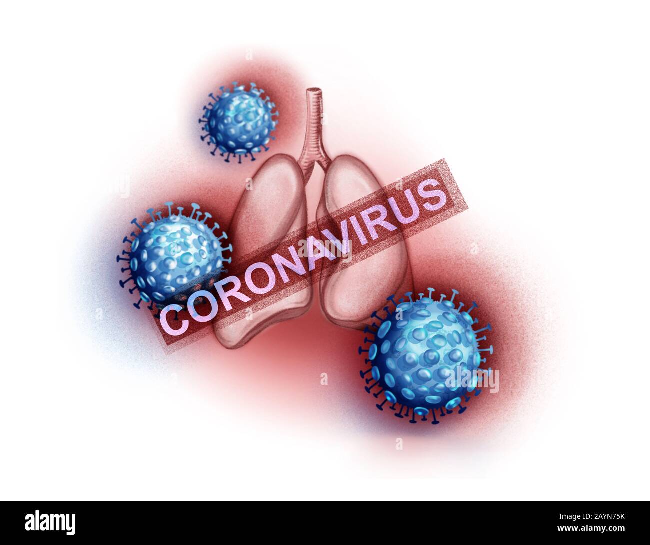 Illustrazione dei polmoni umani e del coronavirus Foto Stock