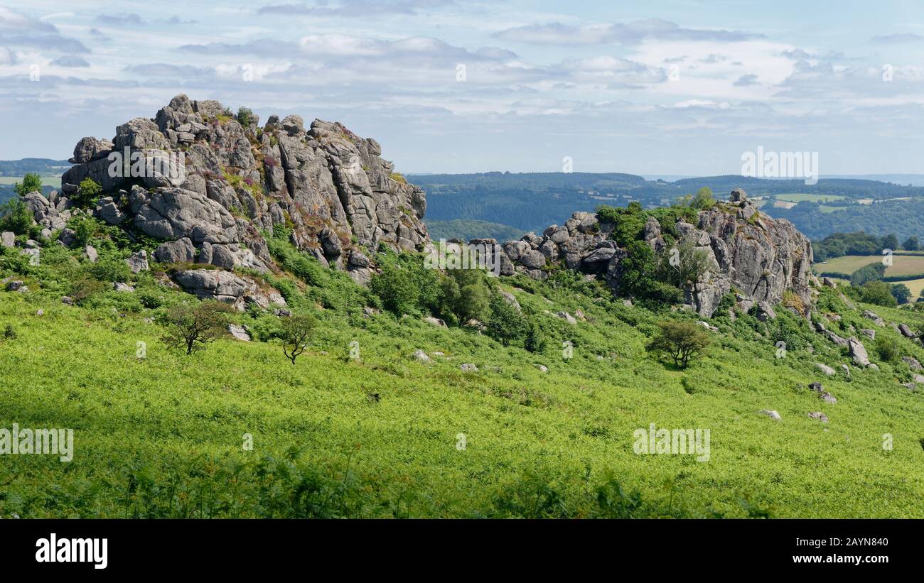 Greator Rocks Vicino A Hound Tor, Dartmoor, Devon; Regno Unito Foto Stock