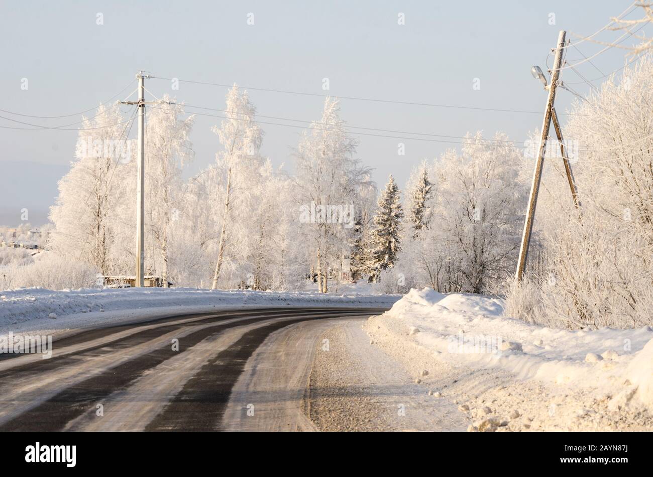 Bella strada attraverso la foresta invernale. Viaggio frosty Foto Stock