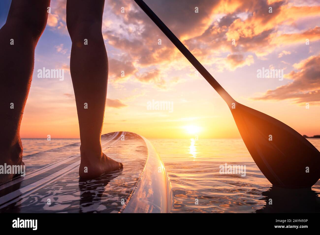 Stand up paddle boarding o standup paddleboarding sul mare tranquillo al tramonto con i colori bellissimi durante la calda vacanza estiva sulla spiaggia, donne attive Foto Stock