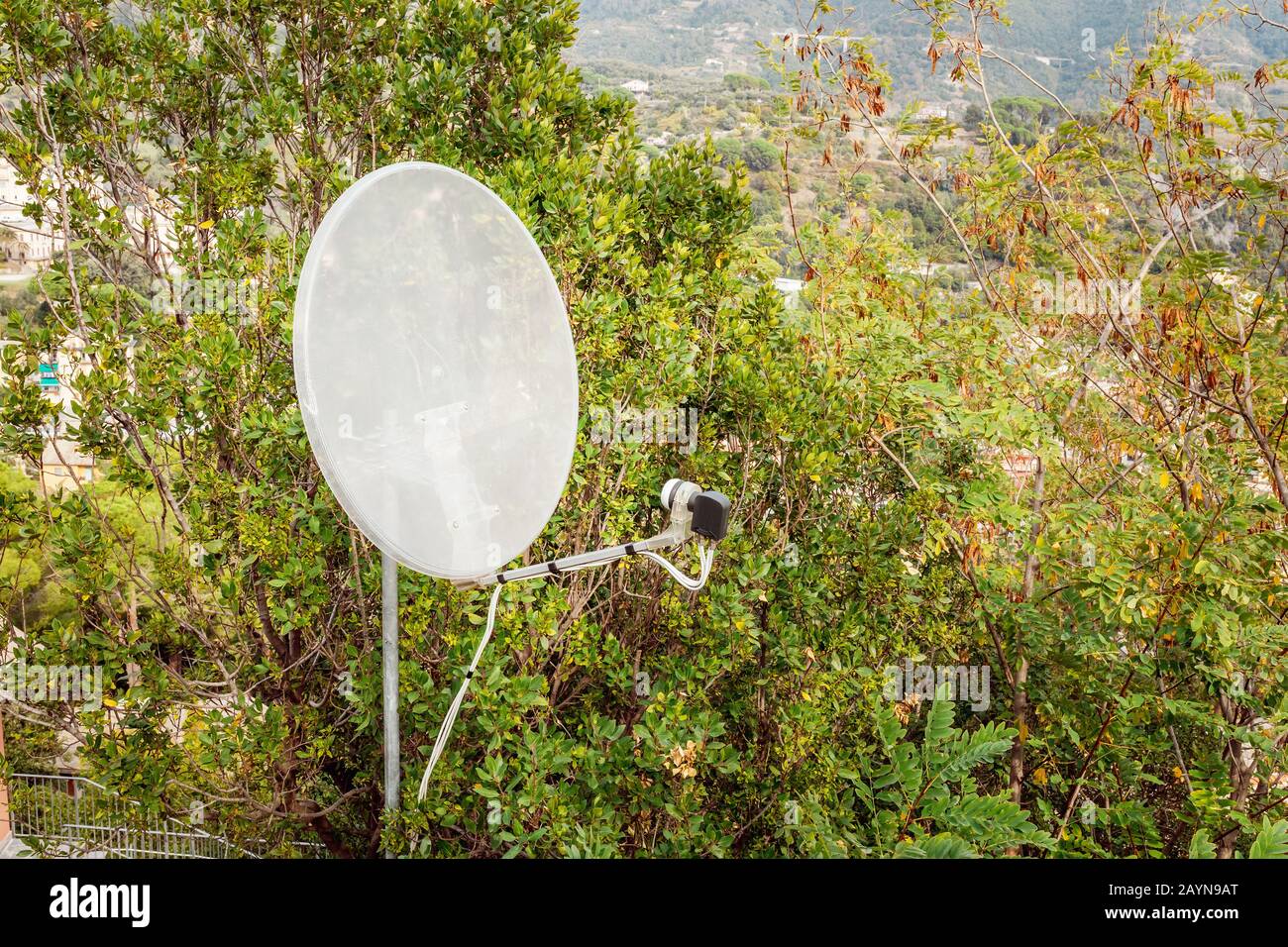 Antenna satellitare per telecomunicazioni in foresta Foto Stock