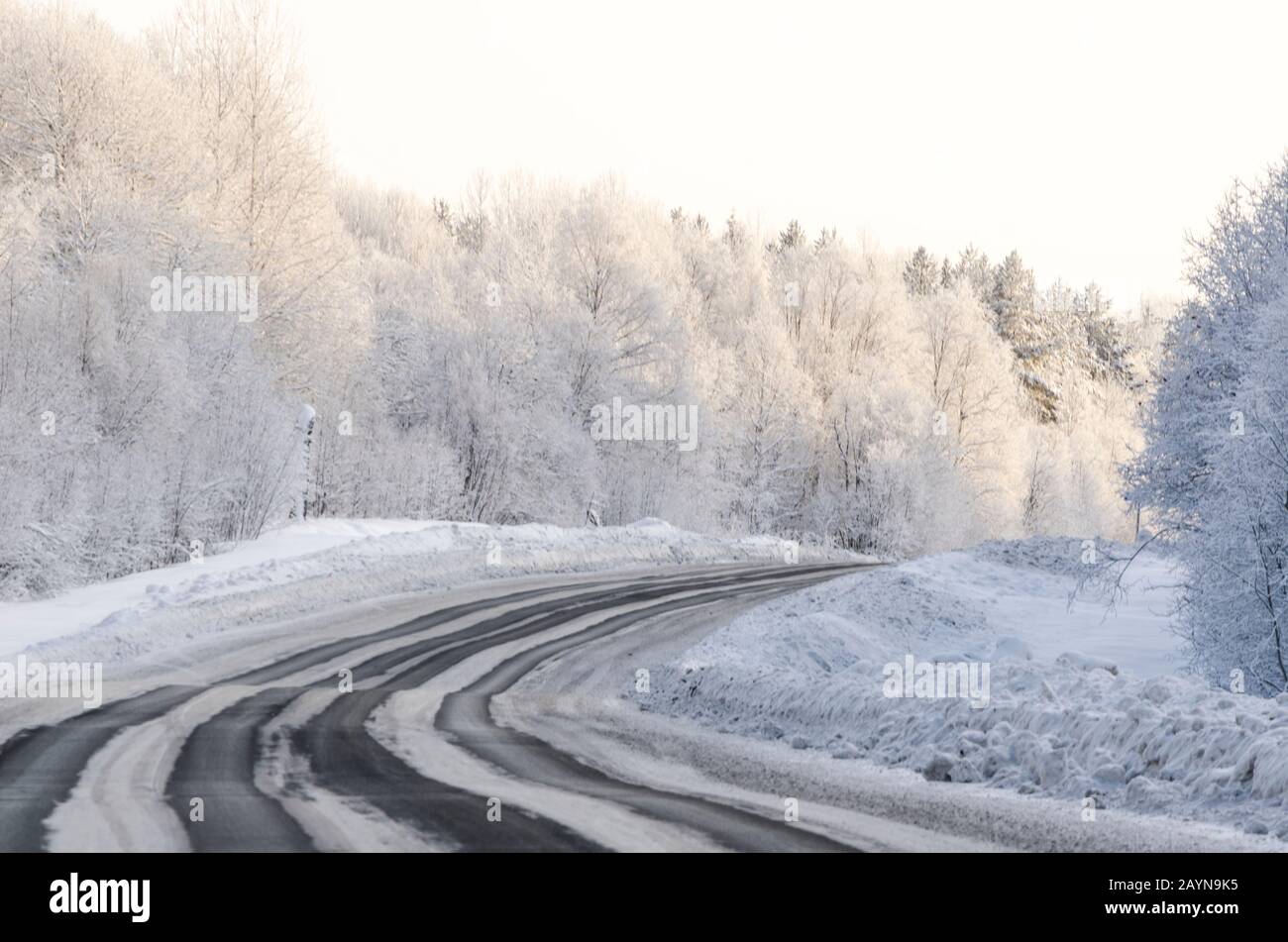 Bella strada attraverso la foresta invernale. Viaggio frosty Foto Stock