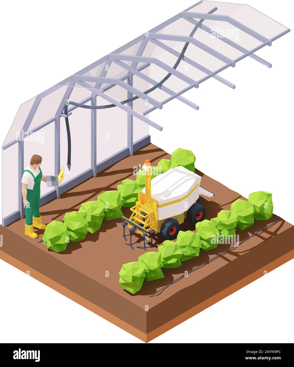 Vettore isometrico serra agricola weeding robot Illustrazione Vettoriale