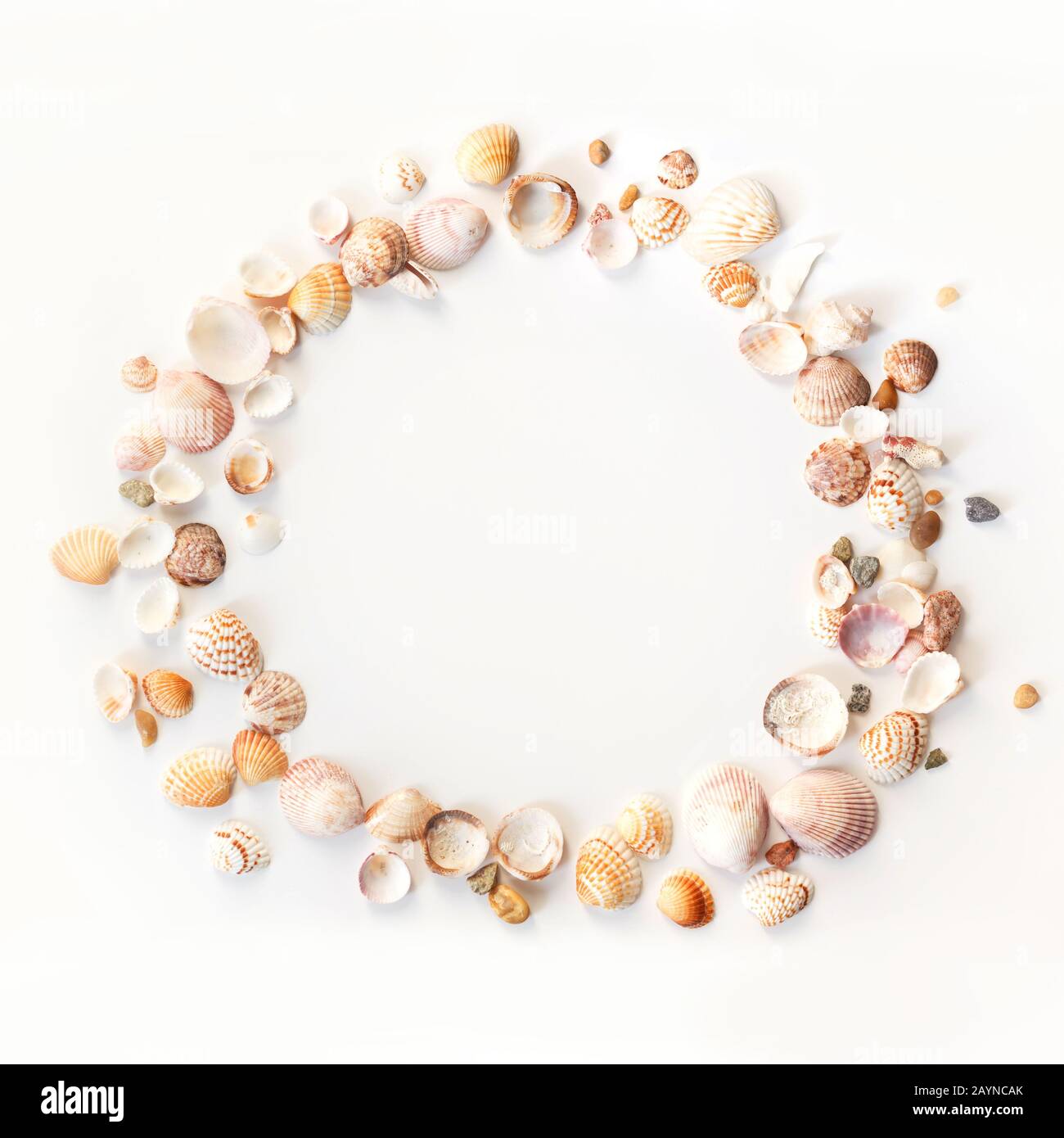 conchiglie e pietre di mare cornice rotonda isolatred su sfondo bianco. Foto Stock