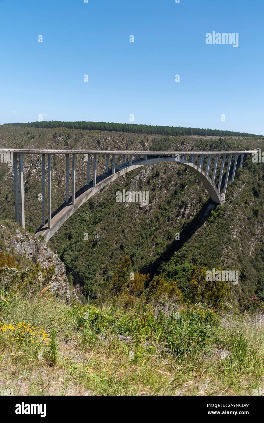 Bloukrans Bridge, Eastern Cape, Sudafrica. Dicembre 2019. Ponte Bloukraans che porta una strada a pedaggio 216 metri sopra la gola attraverso il percorso giardino in Foto Stock