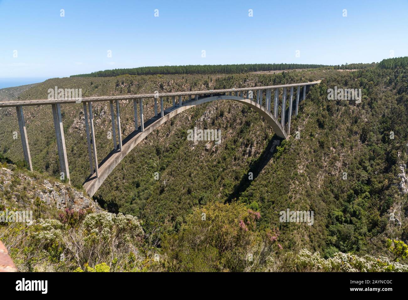 Bloukrans Bridge, Eastern Cape, Sudafrica. Dicembre 2019. Ponte Bloukraans che porta una strada a pedaggio 216 metri sopra la gola attraverso il percorso giardino in Foto Stock