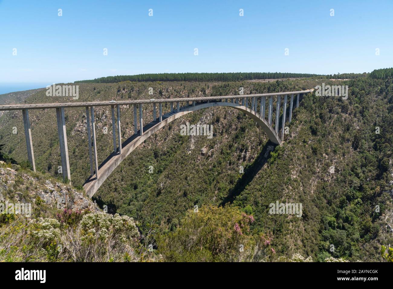 Bloukrans Bridge, Eastern Cape, Sudafrica. Dicembre 2019. Ponte Bloukraans che porta una strada a pedaggio 216 metri sopra la gola attraverso il percorso giardino in Foto Stock