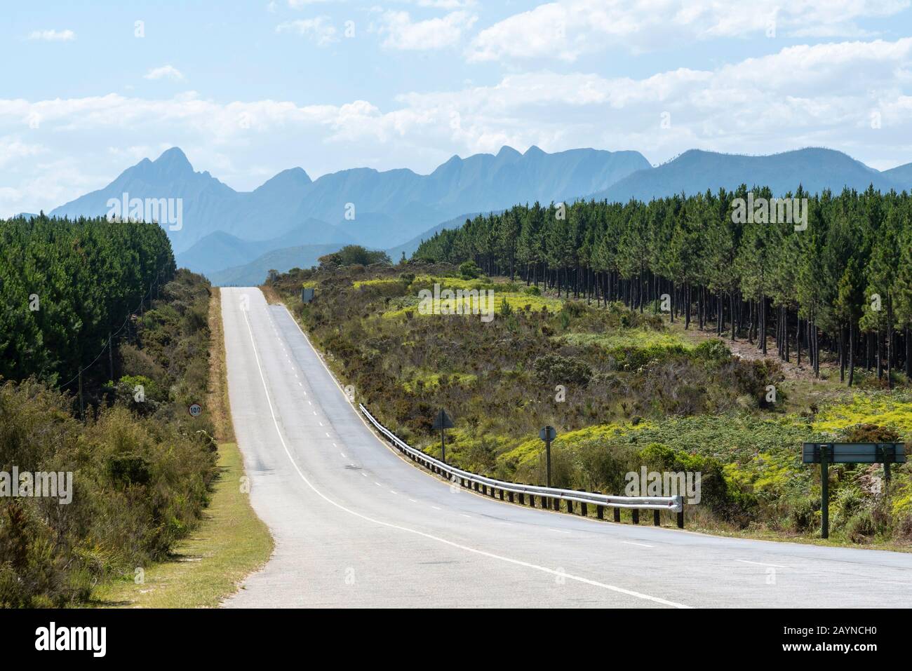 Tsitsikamma, Eastern Cape, Sudafrica, Dicembre 2019. Strada vuota sul percorso del giardino vicino a Tsitsikamma nella regione orientale del capo. Sudafrica Foto Stock