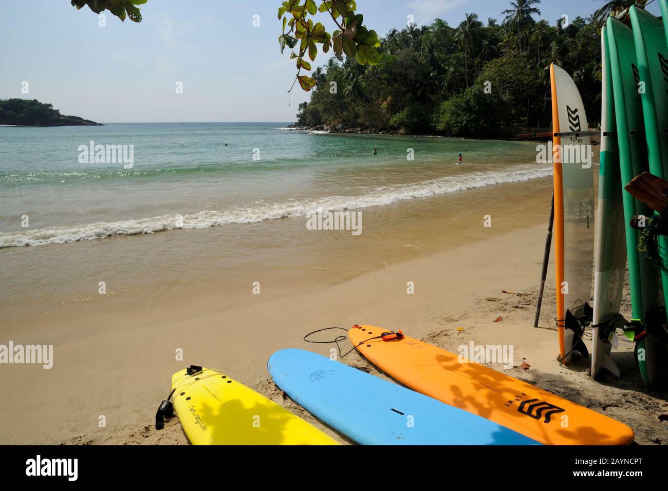 Sri Lanka, Hiriketiya spiaggia, surf noleggio Foto Stock