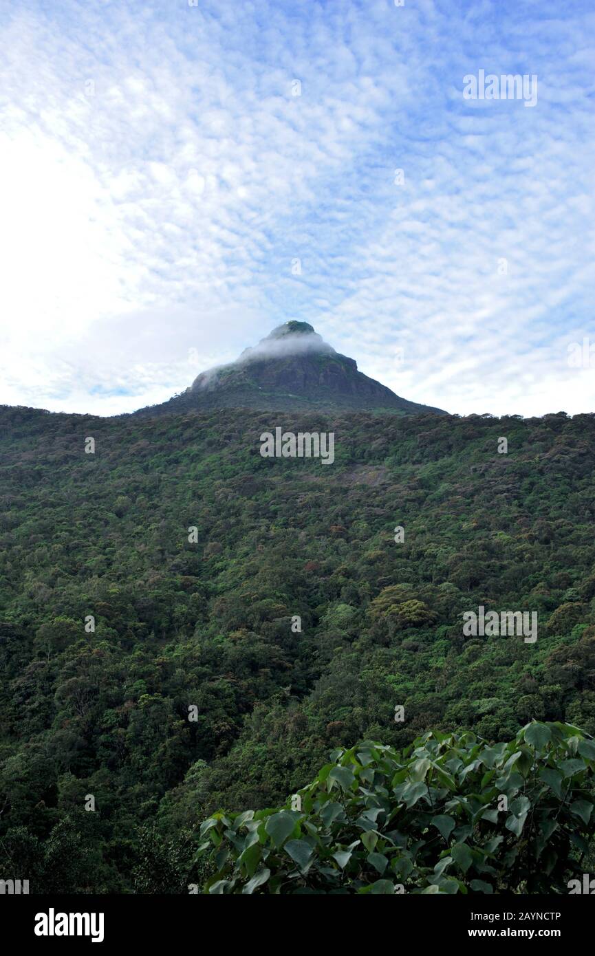 Sri Lanka, il picco di Adam Foto Stock