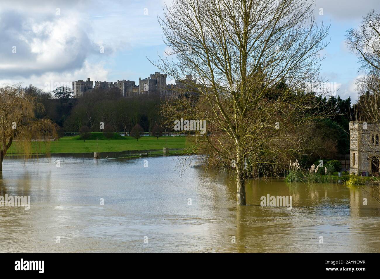 Alti livelli di fiume, Windsor, Berkshire, Regno Unito. 10th febbraio 2014. Il Tamigi scoppia la sua banca a Windsor. Vista dal Victoria Bridge attraverso il Tamigi. Credito: Maureen Mclean/Alamy Foto Stock