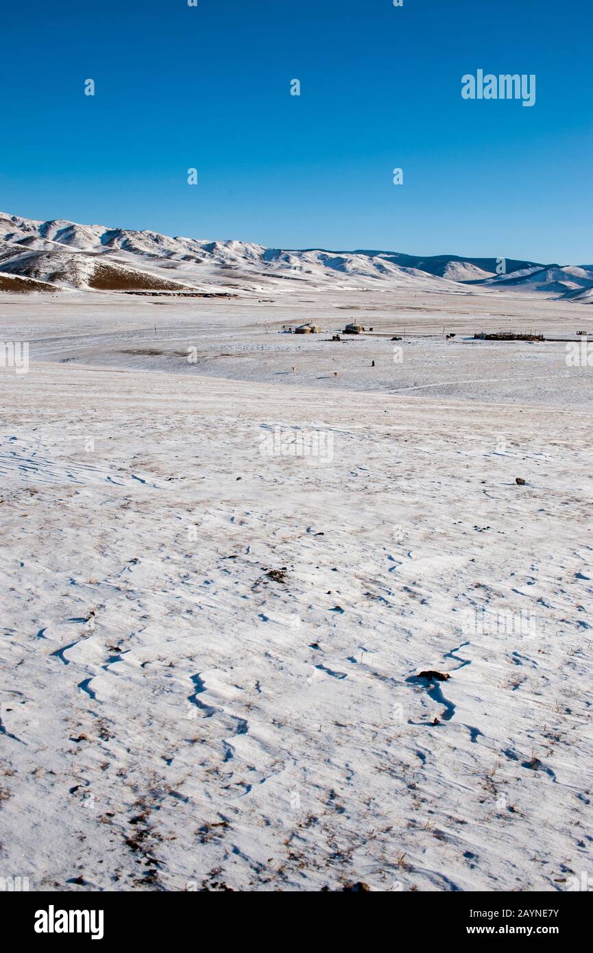 Paesaggio innevato in inverno con un campo ger vicino Ulaanbaatar, Mongolia. Foto Stock