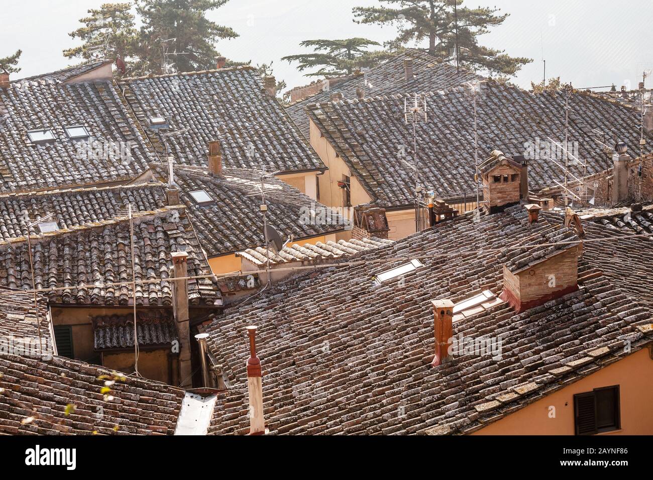 Vista sui tetti di tegole della città vecchia in Toscana, Italia. Foto Stock