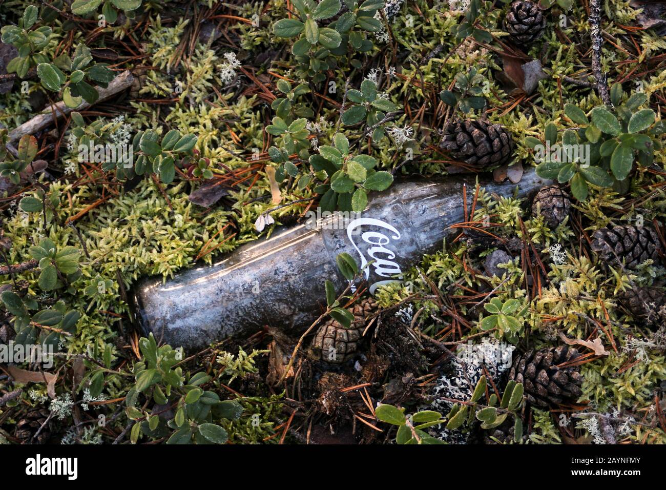 La vecchia bottiglia vuota della Coca-Cola è stata così lunga nella natura che il muschio sta crescendo sopra esso. Lapponia Finlandese. Foto Stock