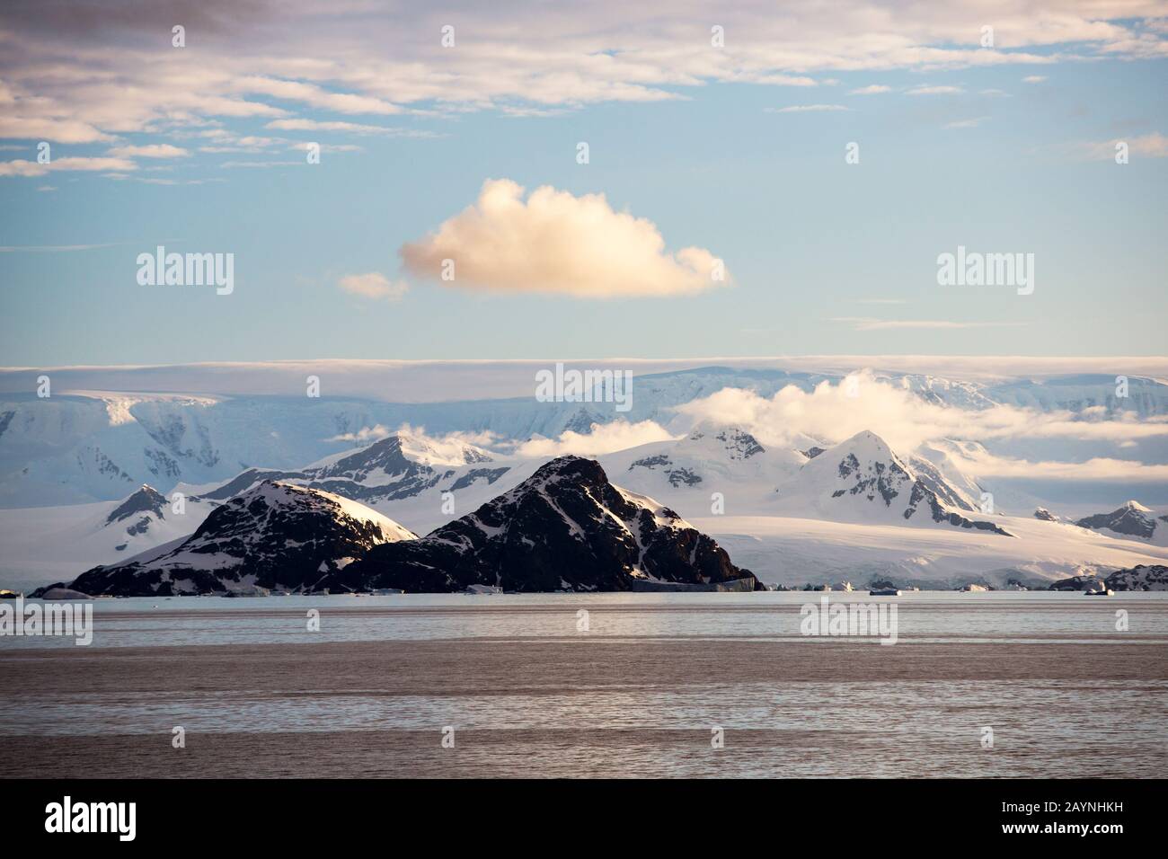Scenario antartico sul Palmer Acitaride sulla Penisola Antartica Foto Stock