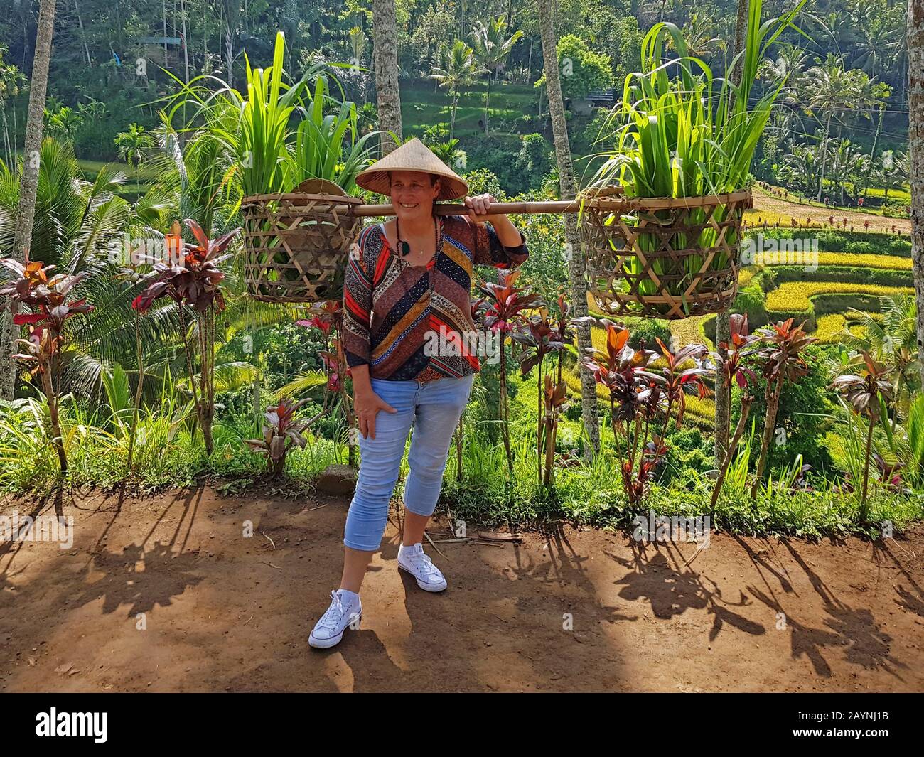 Turistico sulle risaie di Jatiluwih che trasportano un cesto con piante di riso Foto Stock