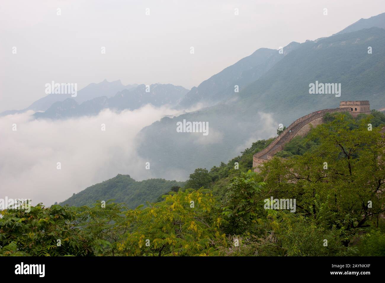 Vista di una sezione della Grande Muraglia Cinese nella nebbia di Mutianyu situata nella Contea di Huairou a 70 km a nord-est del centro di Pechino, Cina. Foto Stock