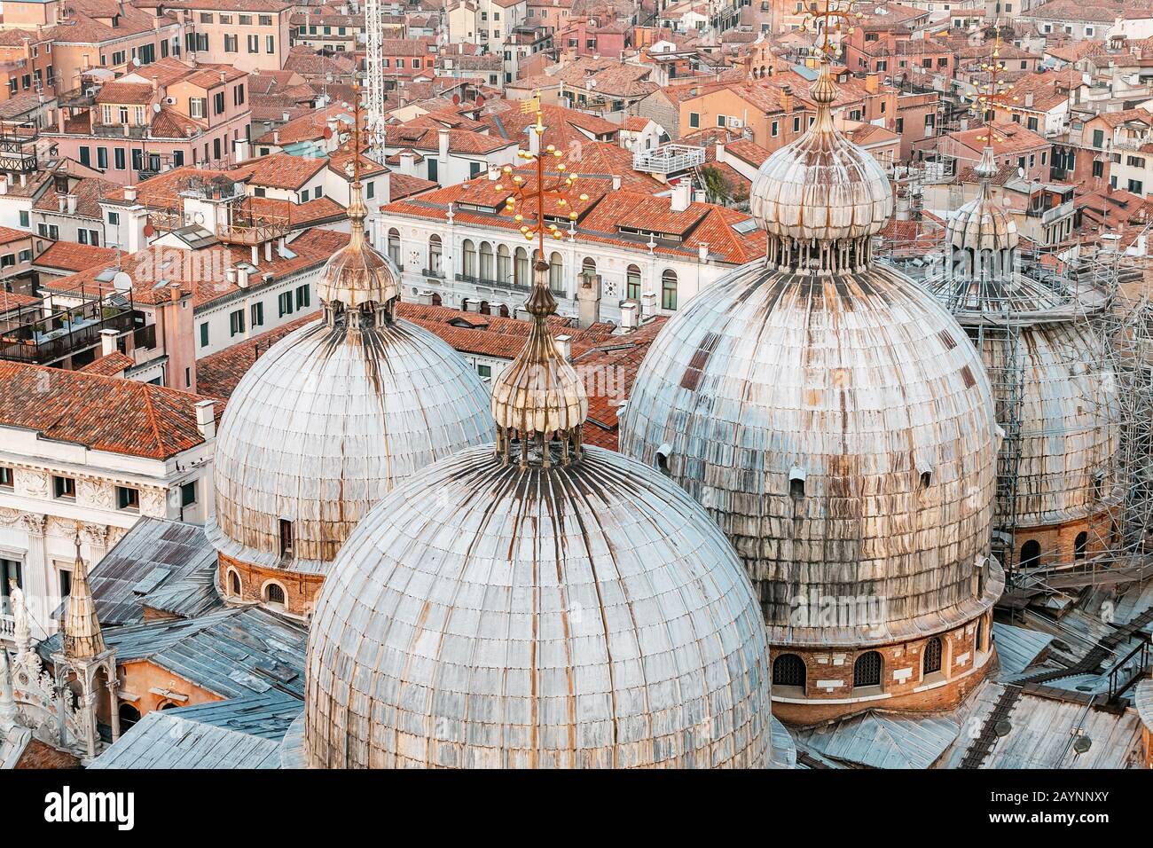 Veduta aerea delle cupole della Basilica di San Marco a Venezia. Concetto di destinazione del viaggio Foto Stock