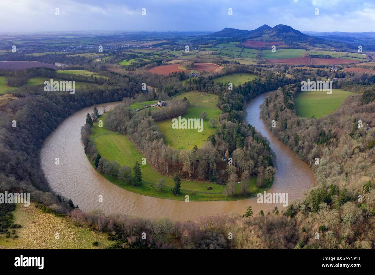 Melrose, Scozia, Regno Unito. 16 Febbraio 2020. Vista di un fiume rigonfio Tweed e Eildon Hills alla vista di Scott nei Confini scozzesi dopo forti precipitazioni durante la tempesta Dennis. La tempesta ha provocato un'estesa inondazione Nei Confini scozzesi. Foto Stock