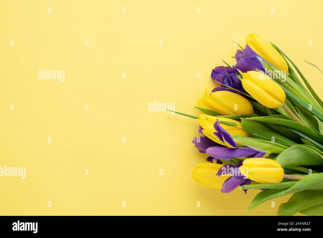 Tulipani Gialli E Iris Su Sfondo Giallo. Concetto Dell'8 Marzo Festa Della Donna, Festa Della Madre, Boquet Fiori Di Primavera Foto Stock