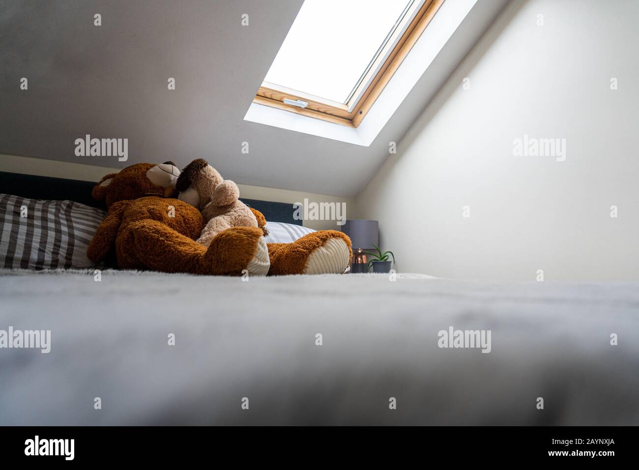 Una camera da letto moderna illuminata da un lucernario con due orsacchiotti che si accoccolano sul letto. Foto Stock