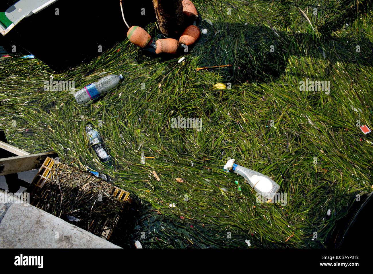 Bottiglie di plastica e altri rifiuti nei canali di Chioggia, Italia. Foto Stock