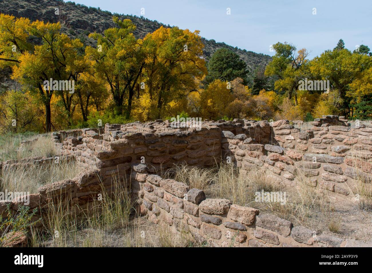 Resti Di Tyuonyi Pueblo Nel Frijoles Canyon, Bandelier National Monument Vicino Los Alamos, New Mexico, Usa. Foto Stock