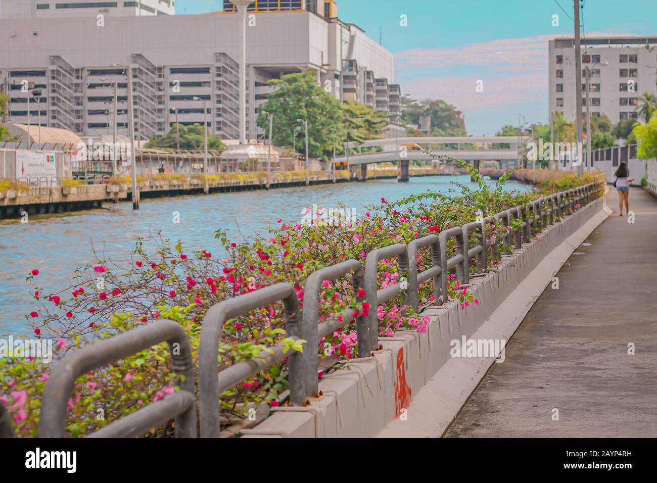 Vista del famoso klong o dei canali navigabili della Citta' di Bangkok girato in tenui colori pastello per mostrare il concetto di estate e il tema anime Foto Stock