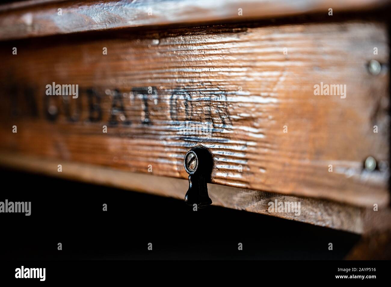 Antico incubatore in legno con finestra panoramica e schermo in metallo Foto Stock