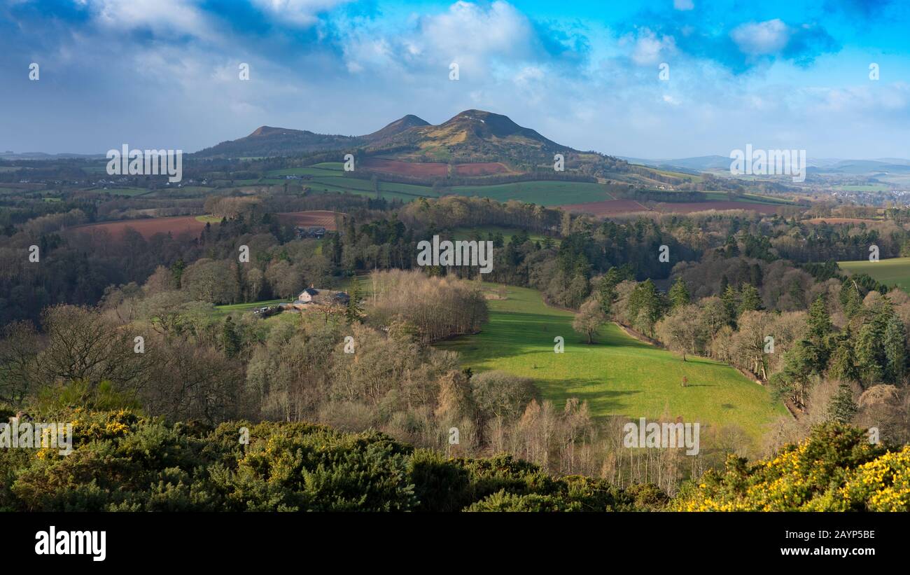 Scott's View in Scottish Borders vicino a Melrose, Scozia, Regno Unito Foto Stock