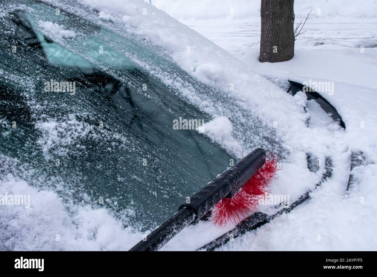 Una spazzolina per la neve scivola lungo il parabrezza di un'auto, rimuovendo la neve fresca e bagnata che si è accumulata durante una recente nevicata. Foto Stock