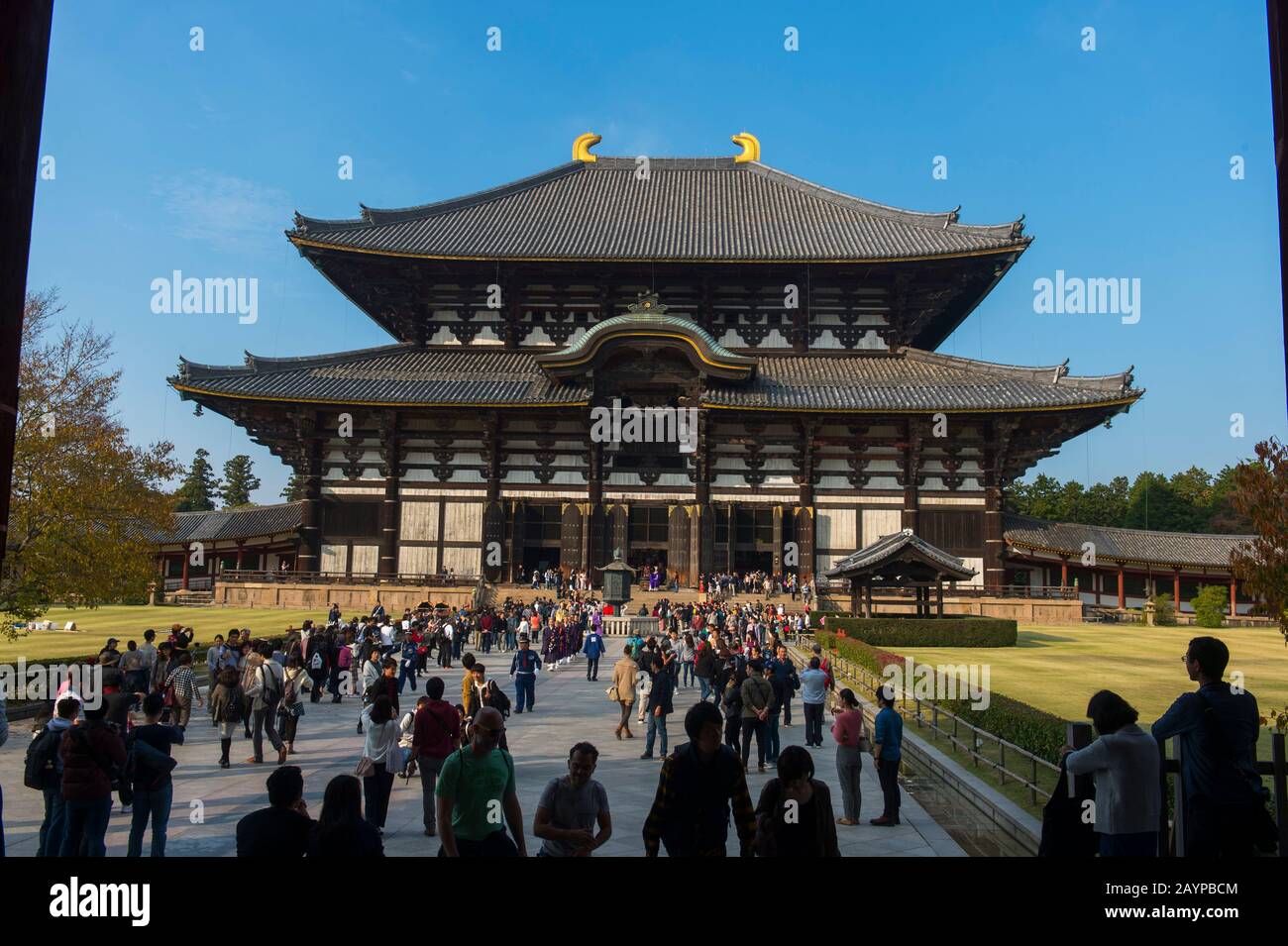 Vista della Sala del Grande Buddha (daibutsuden) del tempio Todai-ji (Tempio Grande Orientale), che è un complesso di templi buddisti e patrimonio dell'umanità dell'UNESCO Foto Stock