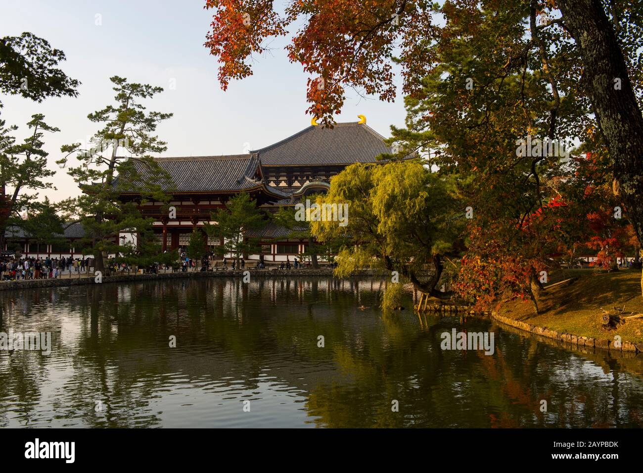 Uno stagno di fronte al Todai-ji (Tempio Grande Orientale), che è un complesso di tempio Buddista situato nella città di Nara, Giappone. Foto Stock