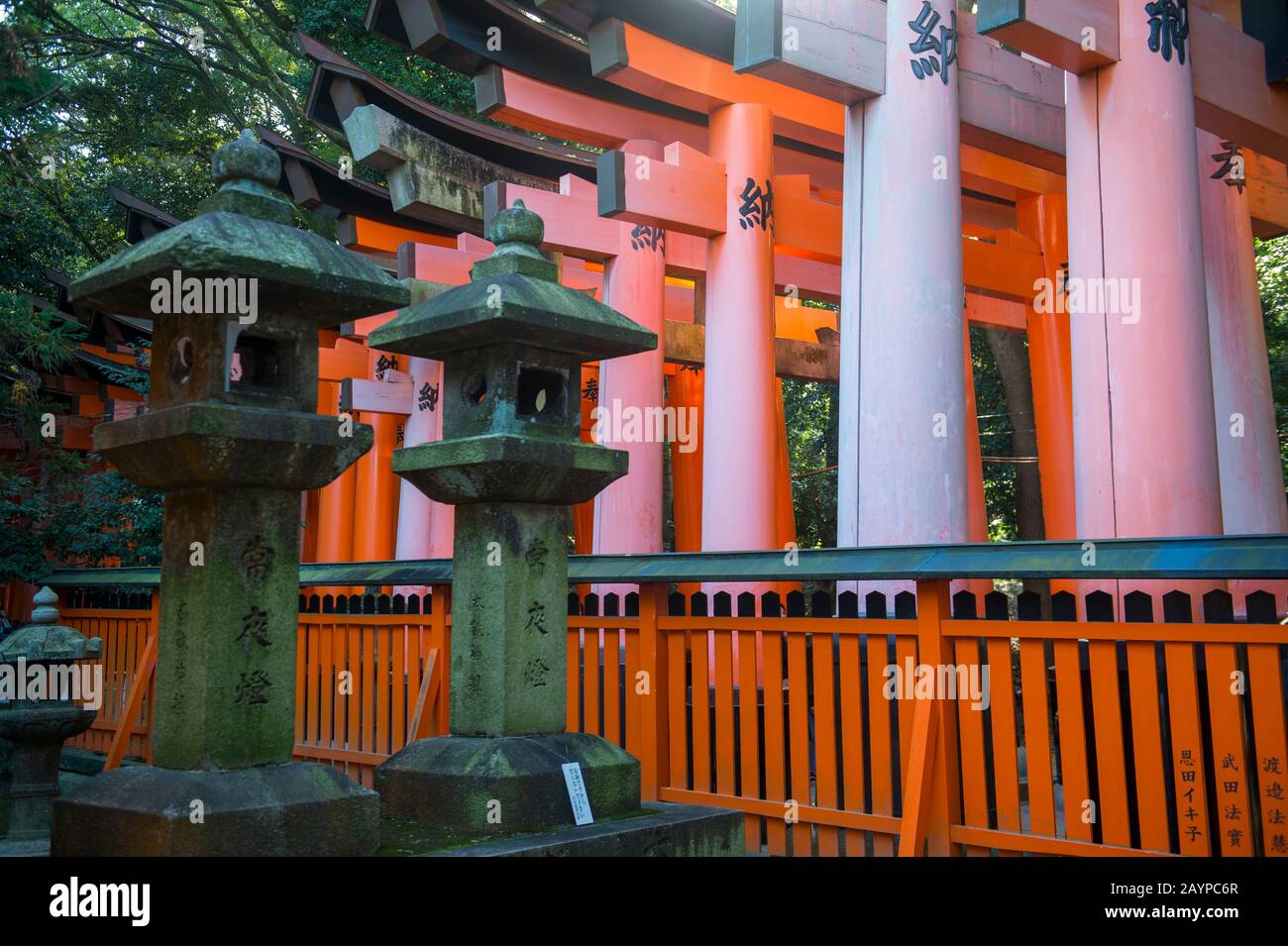Lanterne di pietra al santuario di Fushimi Inari Taisha, un santuario shintoista a Kyoto, Giappone. Foto Stock
