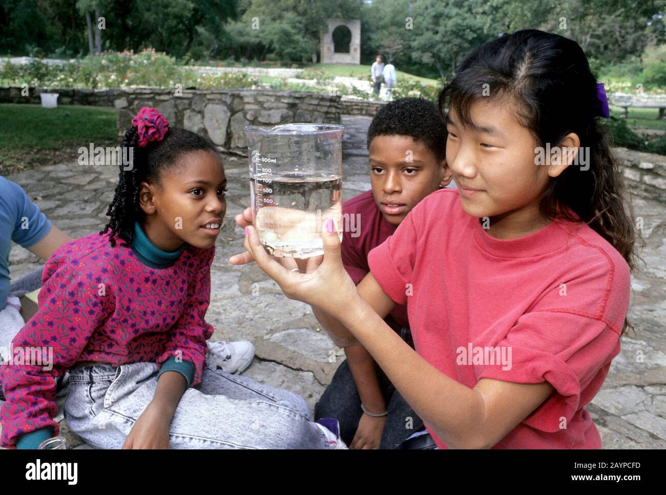 Austin, Texas: Gli studenti delle scuole medie osservano il campione d'acqua prelevato dallo stagno nel parco cittadino per un esperimento di classe scientifica. ©Bob Daemmrich Foto Stock