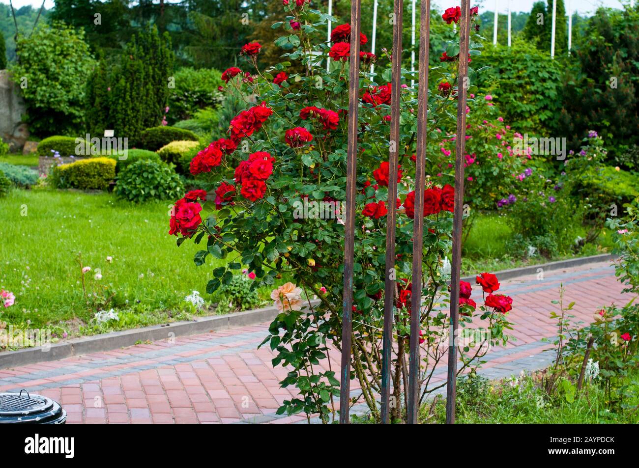 Splendidi parchi verdi per il relax Foto Stock