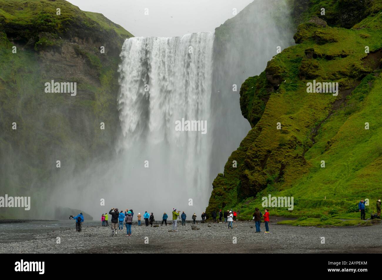 Turisti allo Skogafoss, che è una delle più grandi cascate del sud dell'Islanda con una larghezza di 15 metri e una goccia di 60 metri. Foto Stock