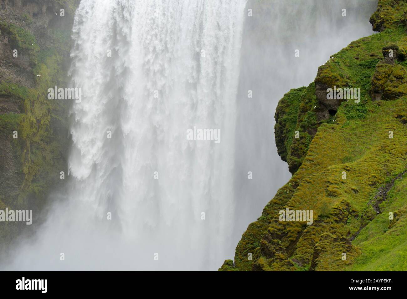 Lo Skogafoss è una delle più grandi cascate del sud dell'Islanda, con una larghezza di 15 metri e una caduta di 60 metri. Foto Stock