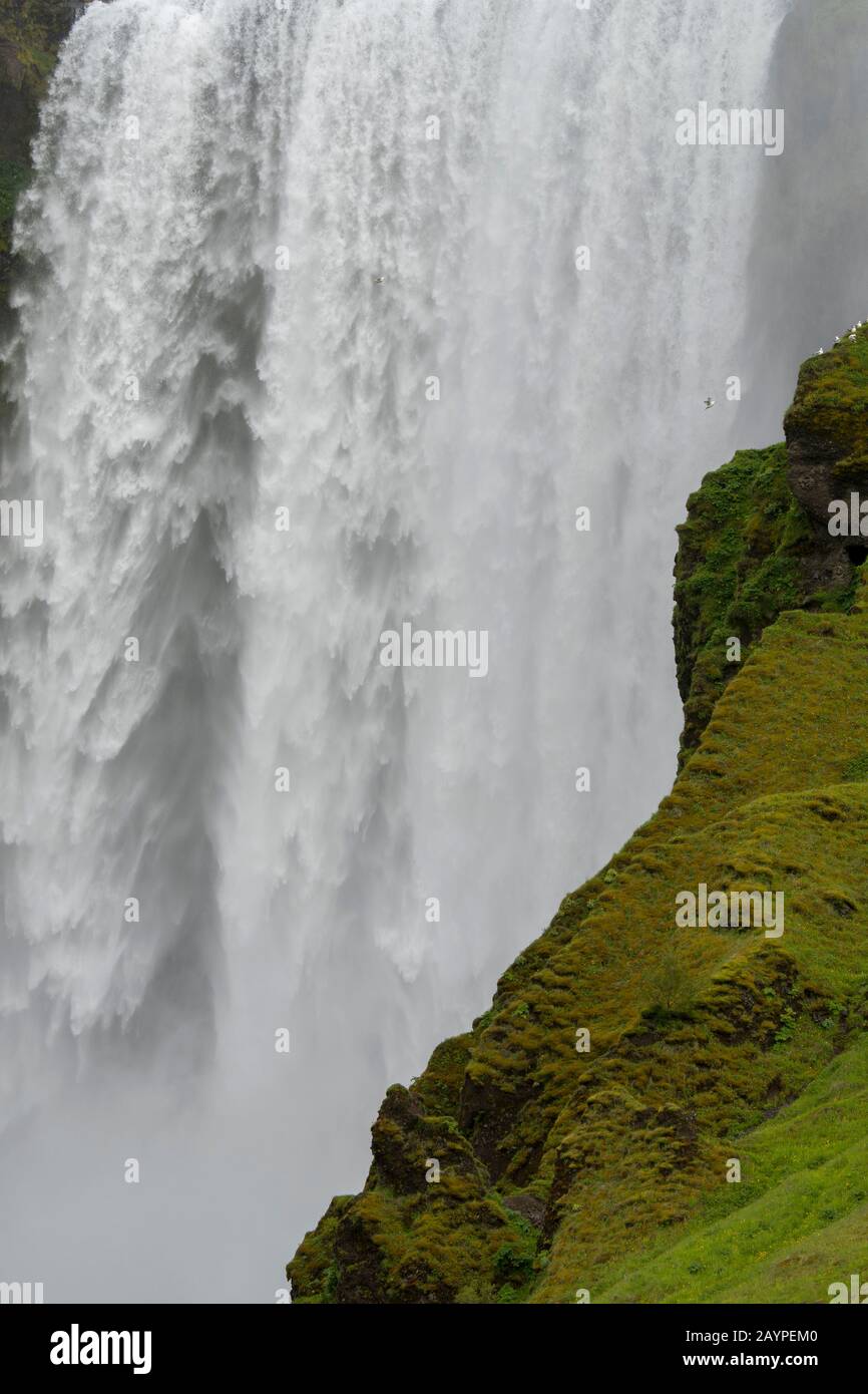Lo Skogafoss è una delle più grandi cascate del sud dell'Islanda, con una larghezza di 15 metri e una caduta di 60 metri. Foto Stock