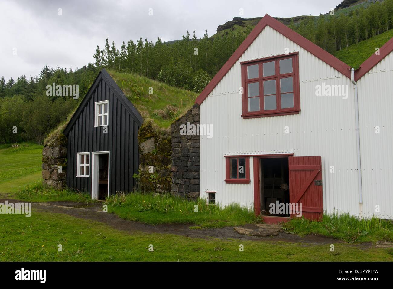 L'azienda agricola Skal, costruita nel 1919-1920, fu occupata fino al 1970 presso il museo popolare Skogar, nel sud dell'Islanda. Foto Stock
