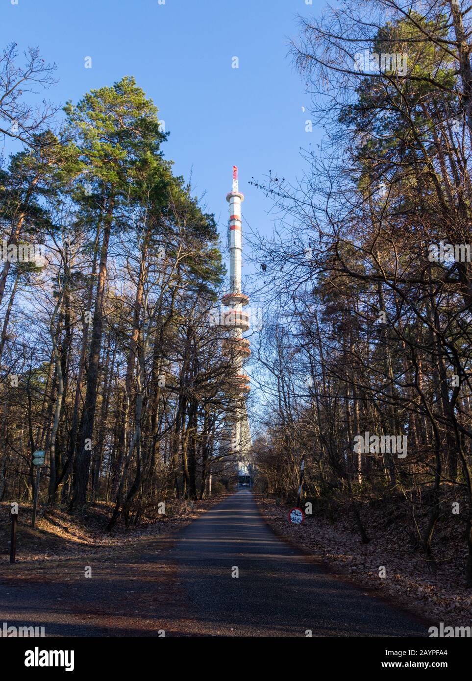 Torre dell'albero della televisione e delle telecomunicazioni su Karoly-magaslat, Sopron Mountains, Sopron, Ungheria Foto Stock